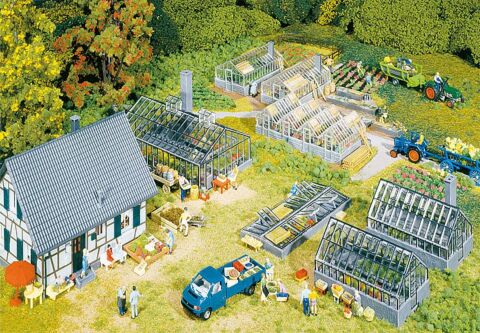 Casa cu sere si accesorii