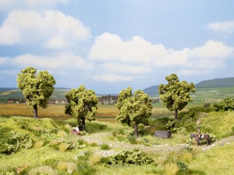 Meri- cub promotional