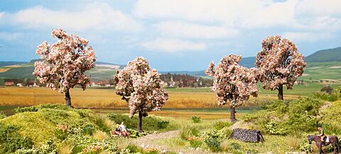 Pomi fructiferi infloriti-cub promotional