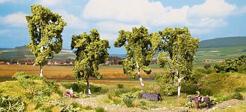 Mesteceni-cub promotional