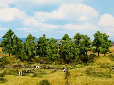 Copaci profi, 16 buc.