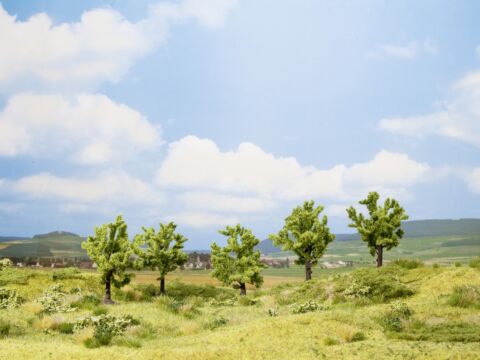 Pomi fructiferi-cub promotional