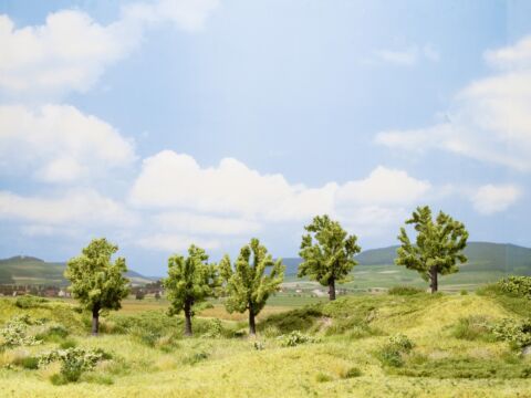 Meri-cub promotional