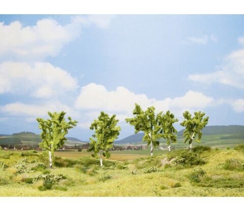 Mesteceni-cub promotional