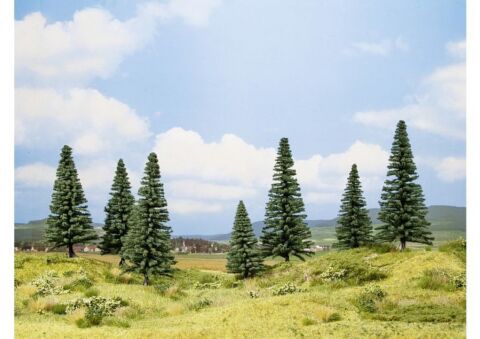 Brazi-cub promotional