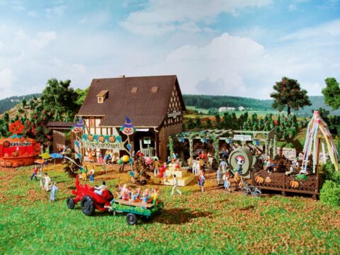 "Festival de toamna"