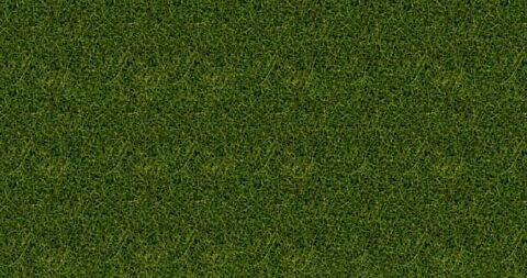 Fire iarba salbatica XL