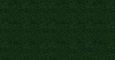 Fire iarba salbatica XL