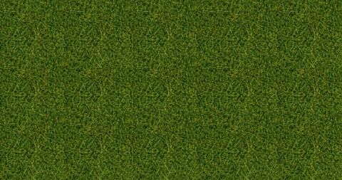 Fire iarba salbatica XL