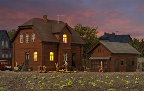 Casa cu anexa iluminata