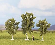 Set copaci mesteacan