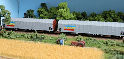 Set 2 vagoane CFR Marfa, tip Rils